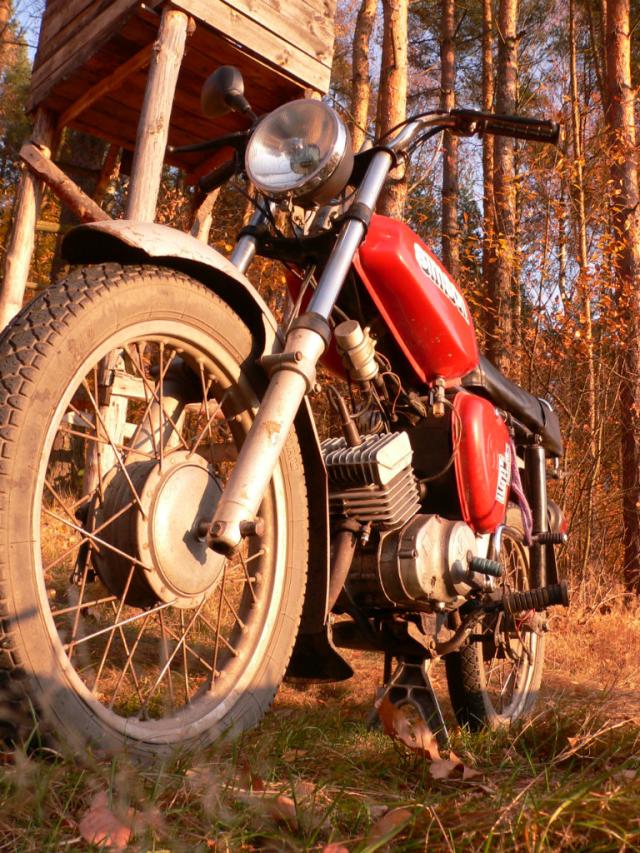 Simson 