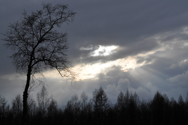 Wpis aleksandraphoto1
