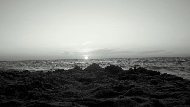 on the beach 