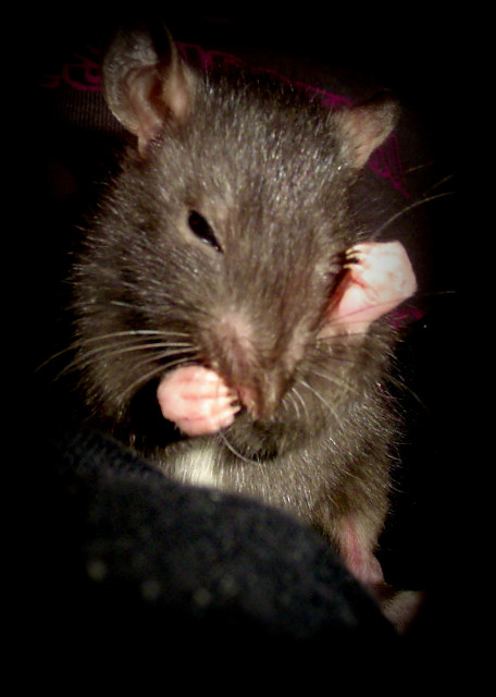 AreK