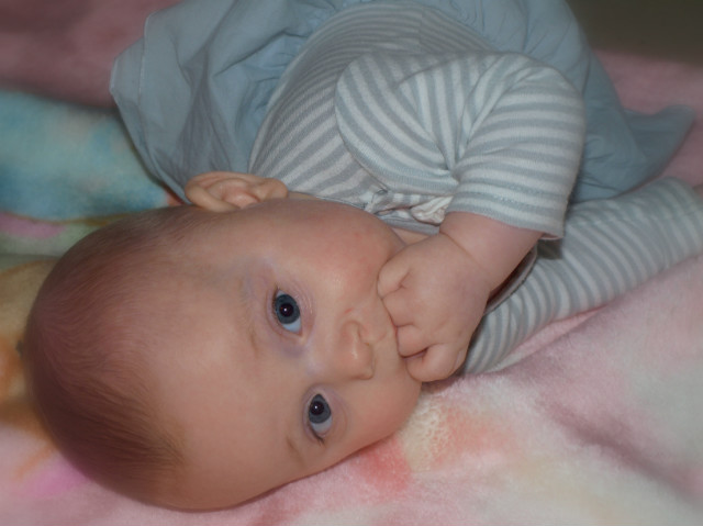 Sofie