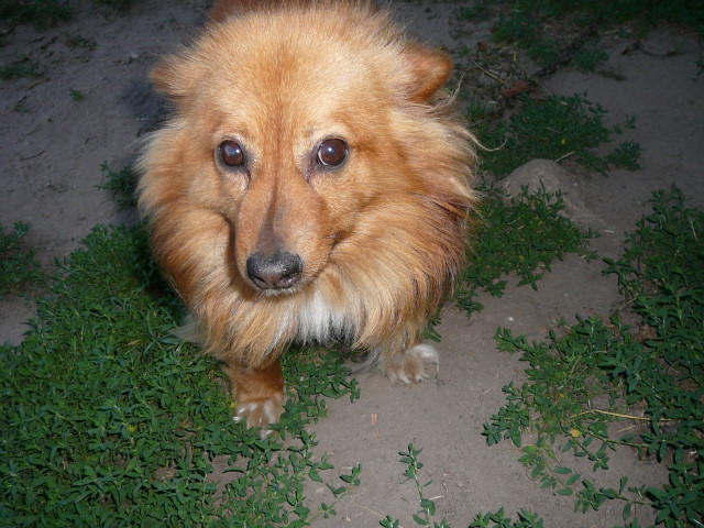 Lulek ;D