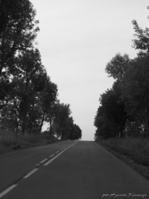 wyruszy w drog czas .