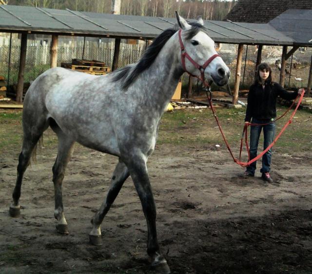 Rodezja ;*