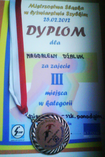 Wpis paranoiaa
