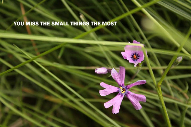 small things