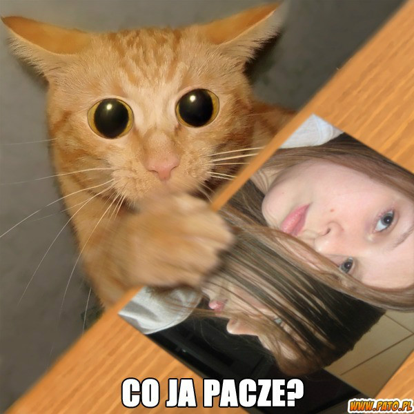 Wpis slodkadziewczynaaa
