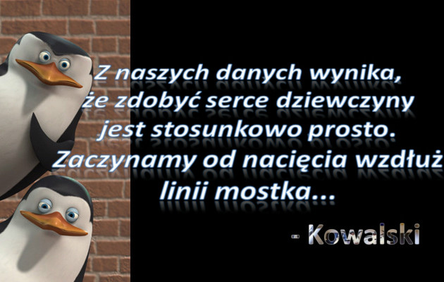 Wpis stecubkb