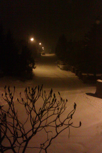 Zimowe :)
