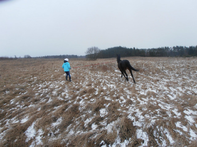 Lona Nokturna
