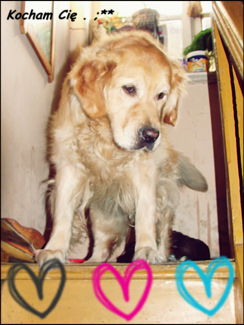 ` To nadal boli ..