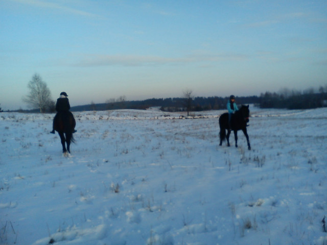 Gradus , Nokturn