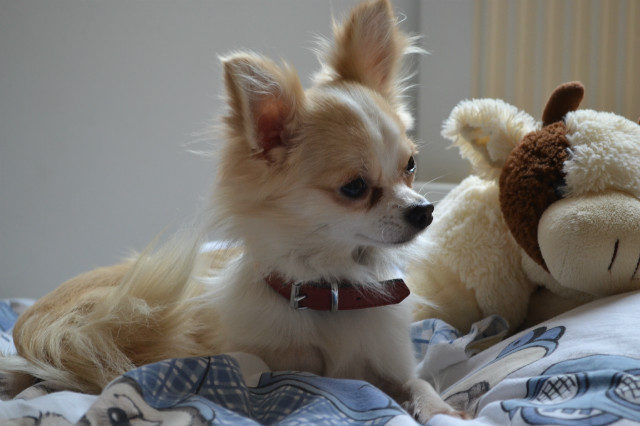 Billy :D 