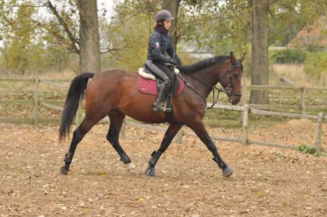 Znw Horosek :************