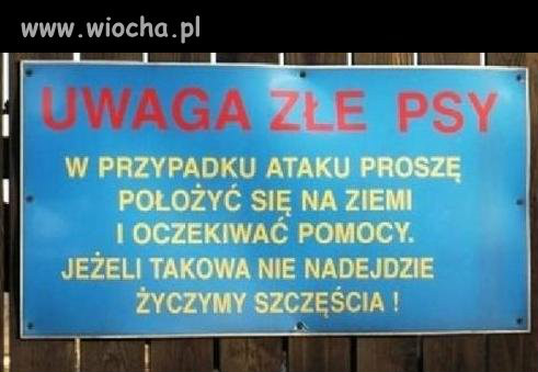 Wiocha.pl ;D