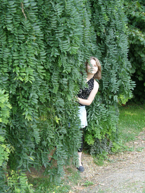 mj dawny wyglodyale sie zmieni