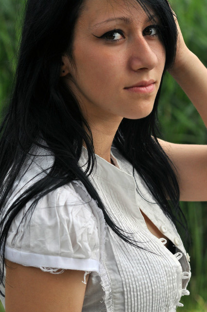 Wpis avens