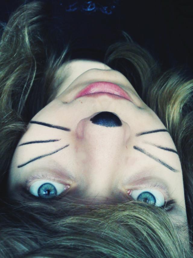 meoow 