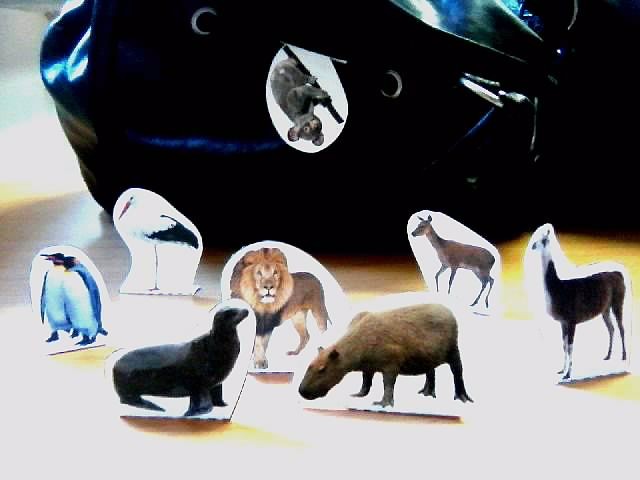 Zoo :D