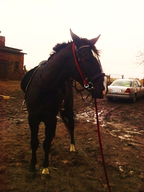Karyy .. 