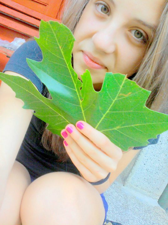 Wpis vessiie