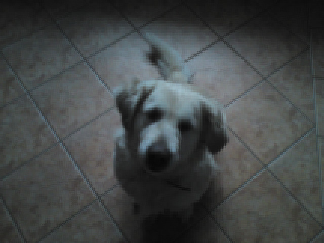 Kaff