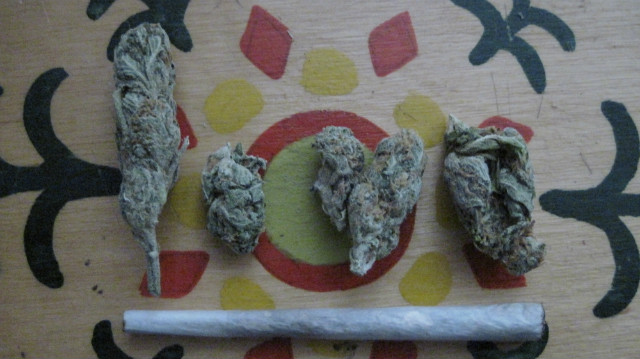 Wpis kotdude