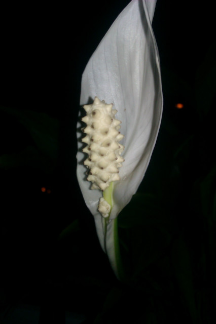 Wpis amaizingphoto