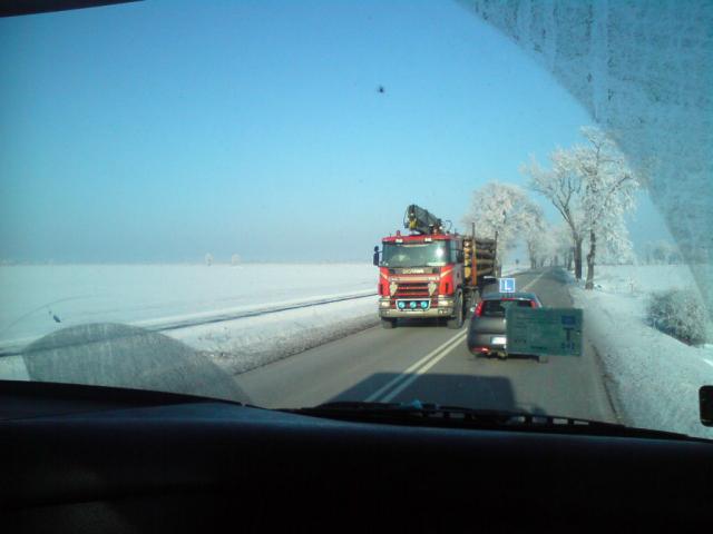 Scania z drzewem.