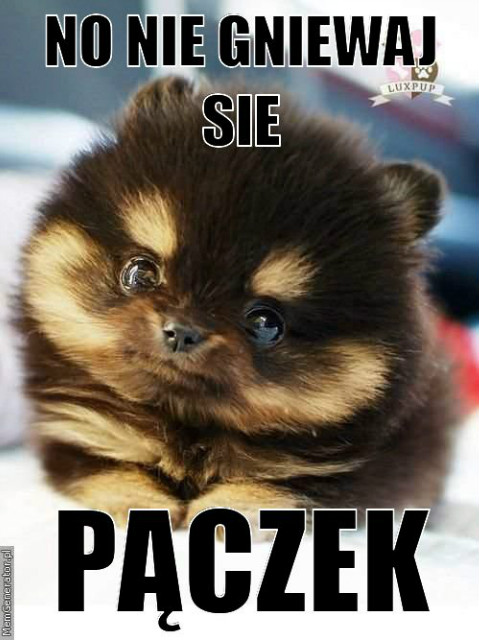 Wpis anialukosek