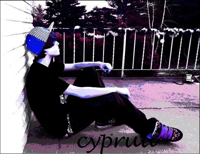 Wpis cypruu