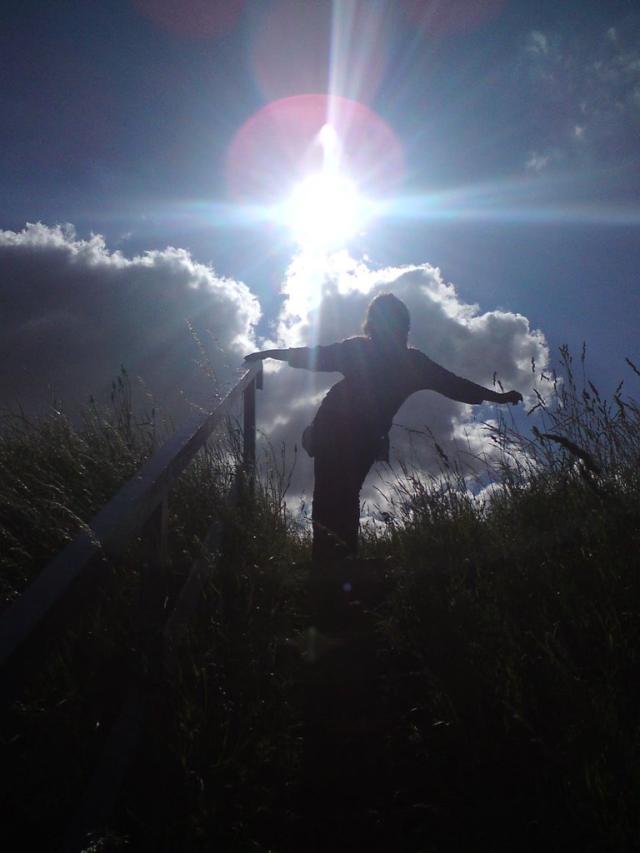 The sun
