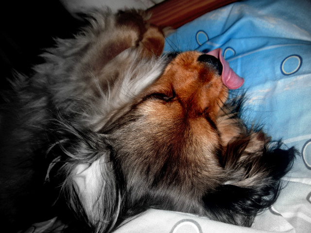 Lady :* 