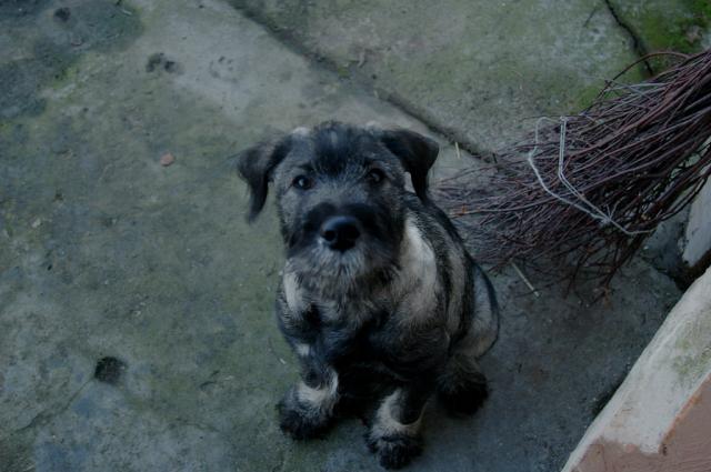 May Fred !