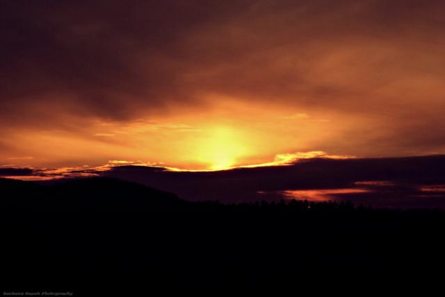 The sunset