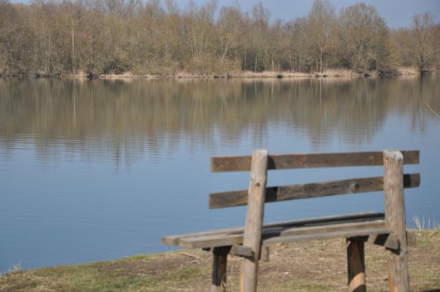 Wpis nikoniara