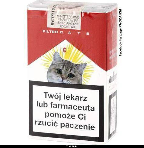 Wpis whitedragon