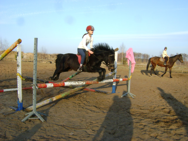 Indi ;***