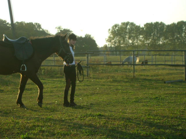Miesio ; *