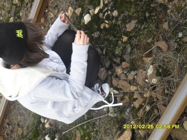 Z Sab .;*
