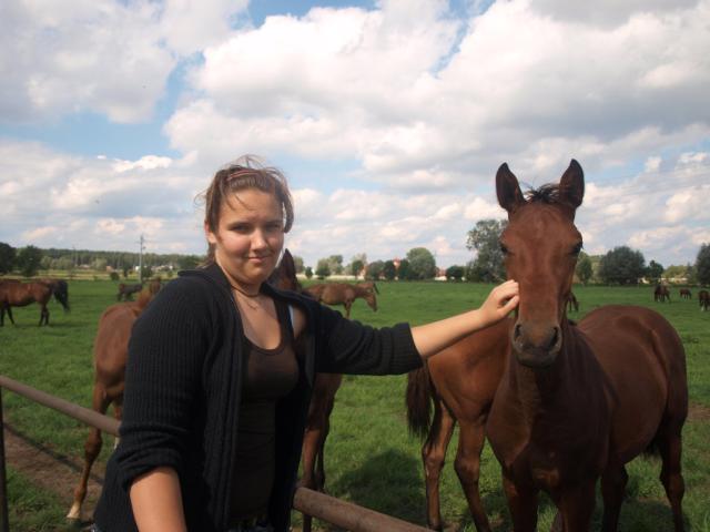 I and horses