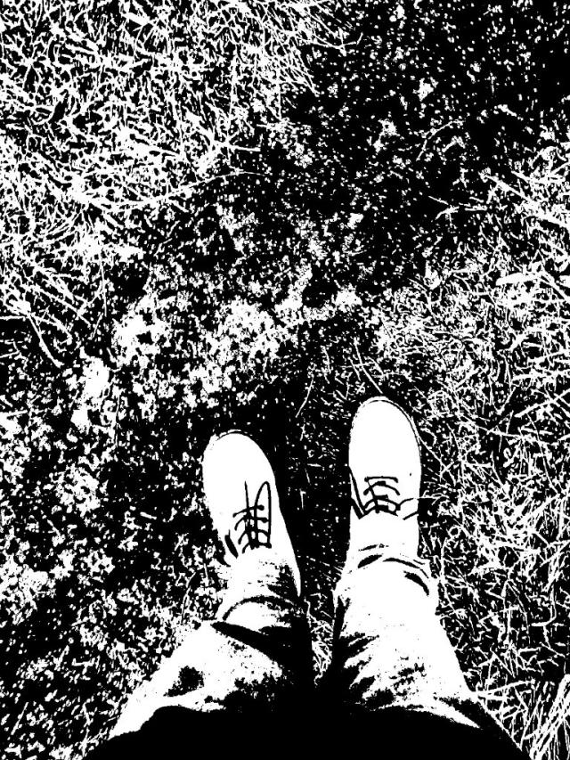 Juhuu . ! : D