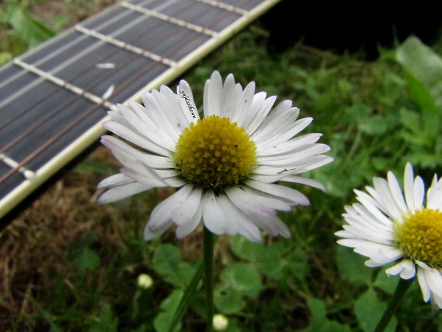 2.