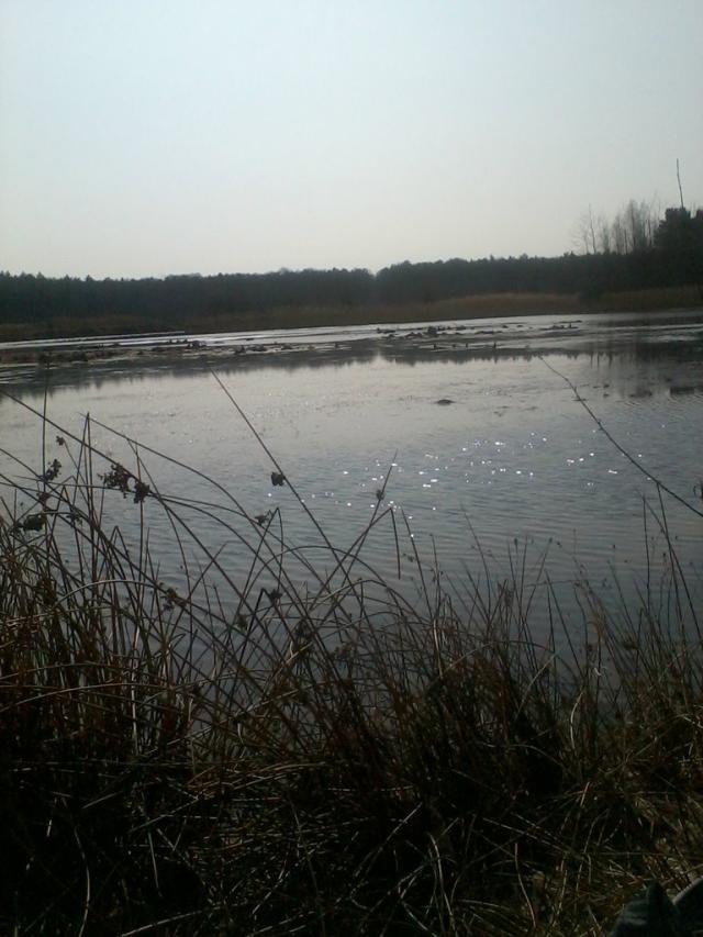 Zalew . < / 3