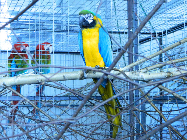 Targi Zoologiczne