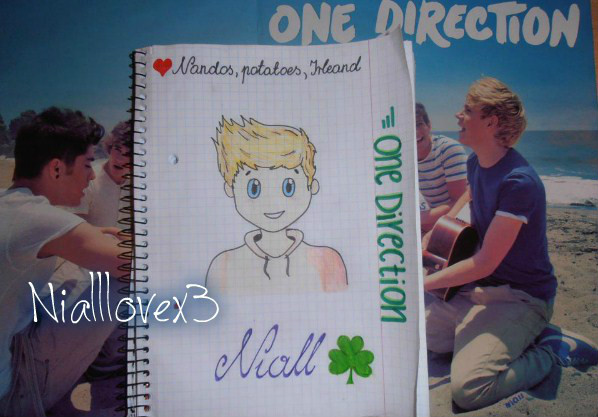 Wpis nialllovex3