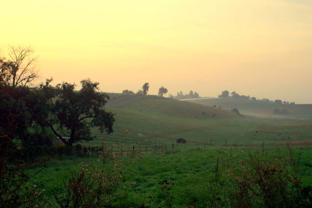 Wpis mikiandhorse
