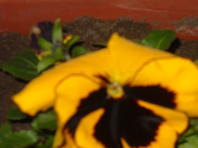 Foto by me !