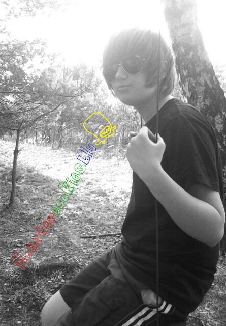 Wpis cookiesmonsterblu