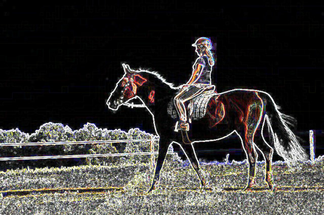 Bellissima - trk. 